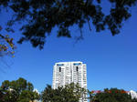 d748ea61.jpg
