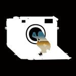 写真家