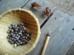 じゅず玉と掃除する棒