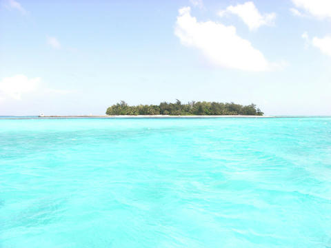 RIMG0086_1.jpg