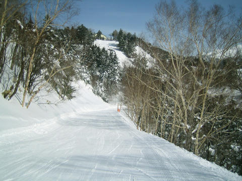 IMG_6911_1.jpg