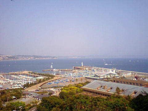 HI380169_1.jpg