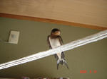 DSC00595.JPG