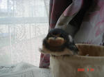 DSC00571.JPG