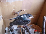 DSC00569.JPG
