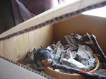 DSC00566.JPG
