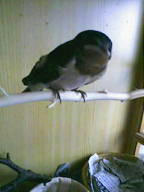 20080529132730.jpg