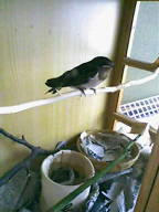 20080529132745.jpg