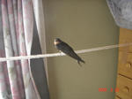 DSC00618.JPG