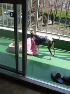 DSCF1778.JPG