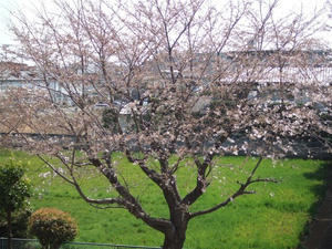 DSCF1783.JPG