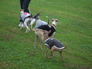 DSCF2583.JPG