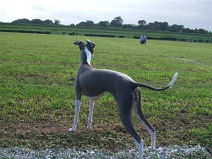DSCF2627.JPG