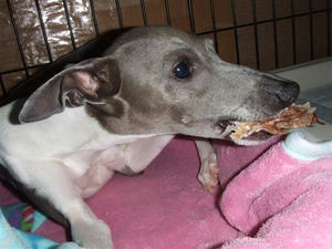 DSCF2518.JPG