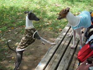 DSCF2680.JPG