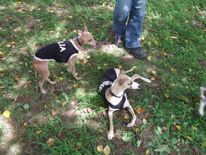 DSCF2682.JPG