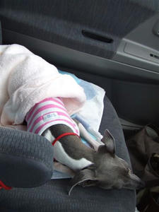 DSCF2688.JPG