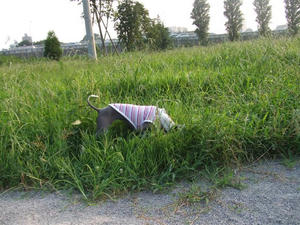 DSCF2696.JPG