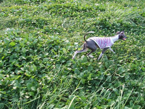 DSCF2709.JPG