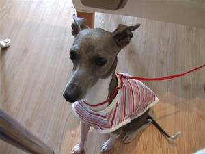 DSCF2738.JPG
