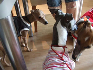 DSCF2739.JPG