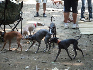 DSCF2748.JPG