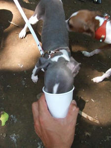 DSCF2779.JPG