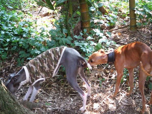 DSCF2798.JPG