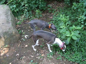 DSCF2793.JPG