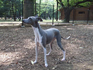 DSCF2831.JPG