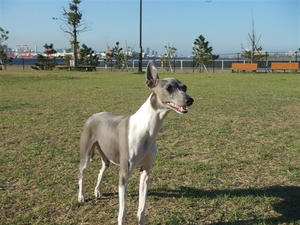 DSCF2851.JPG