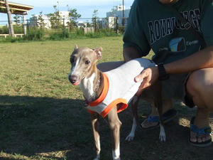 DSCF2852.JPG