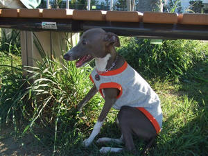 DSCF2855.JPG
