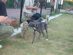 DSCF2861.JPG