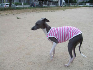 DSCF2884.JPG