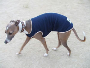 DSCF2888.JPG