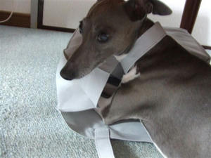 DSCF2915.JPG