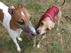 DSCF2951.JPG