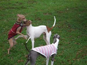 DSCF2961.JPG