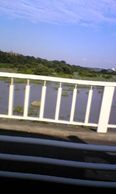 070908_161602.jpg