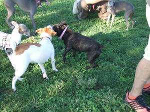DSCF3010.JPG