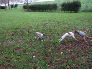 DSCF3064.JPG