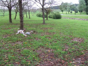 DSCF3065.JPG