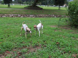DSCF3070.JPG