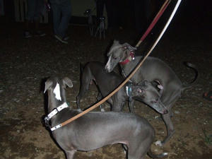 DSCF3095.JPG