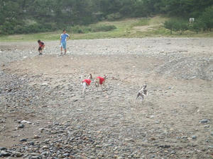 DSCF3102.JPG
