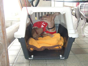 DSCF3123.JPG