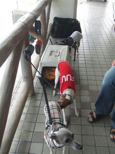 DSCF3124.JPG