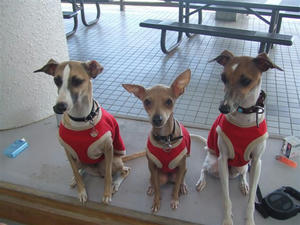 DSCF3126.JPG