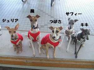 DSCF3129.JPG